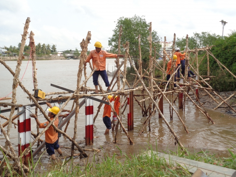 Đóng cọc hàng rào thép hình cống số 11